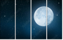 65260287