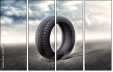 65476081