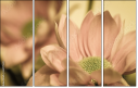 65771321