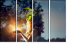 65958619