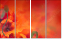 67251094