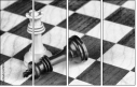 67855650