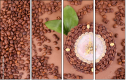 68206263