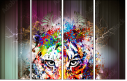 68720496