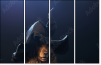 68921322