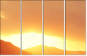 69150407