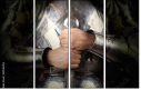 69546353