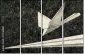 70764881