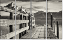 72072664