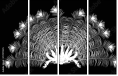 72971225