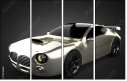 73645668