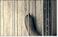 75167527