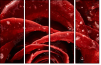 75798905