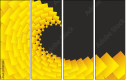 76117324