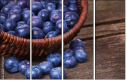 79175349