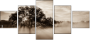 110890468