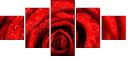 112923652