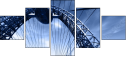 13637582
