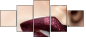 138642270