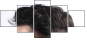 143750770