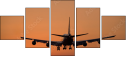 1443651