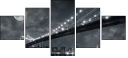 15676398