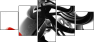 15727552