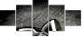 16438072