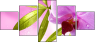 20055851