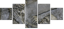 20059102