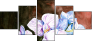 21439779