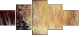 21581087