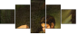 21653701