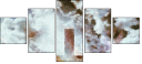 217692182