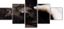 21991281