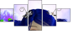 22659722