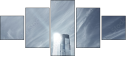 23194716