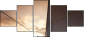 23896899