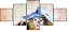 24495257