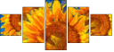 256376669