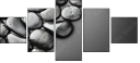 25876138