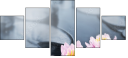 27192905