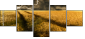 27477176