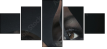 28242259