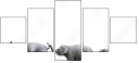 29095081