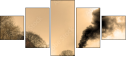29517510