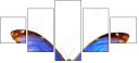 29644334