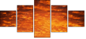 29892519