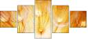 30258126