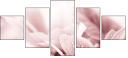 31030439